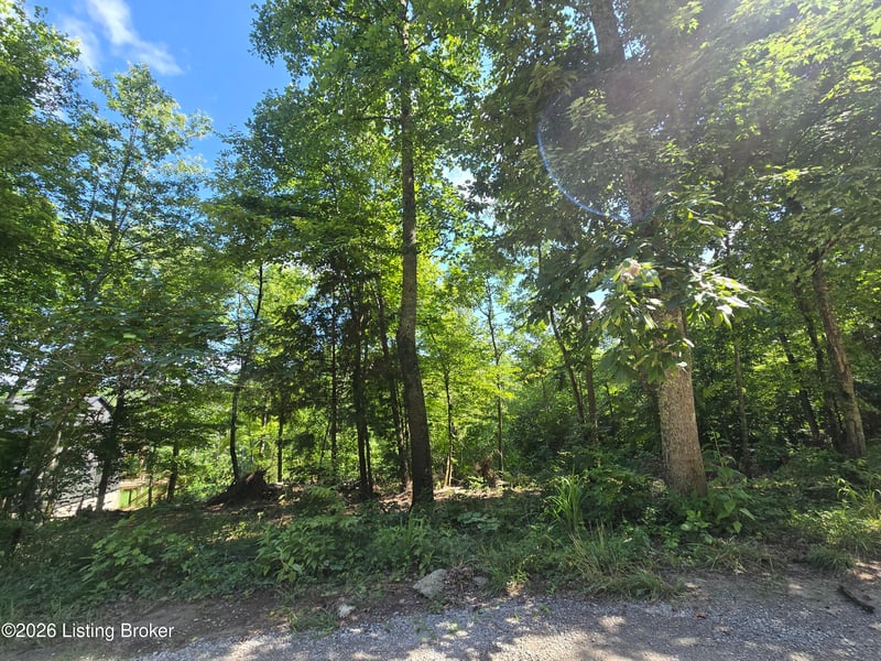 1007 Hunting Ground Rd, Leitchfield, KY 42754