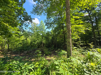 1007 Hunting Ground Rd, Leitchfield, KY 42754