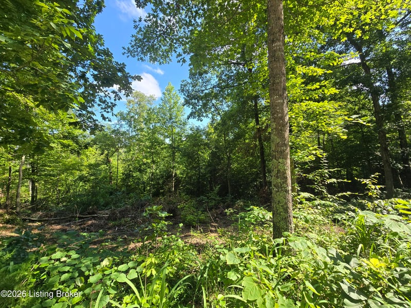 1007 Hunting Ground Rd, Leitchfield, KY 42754