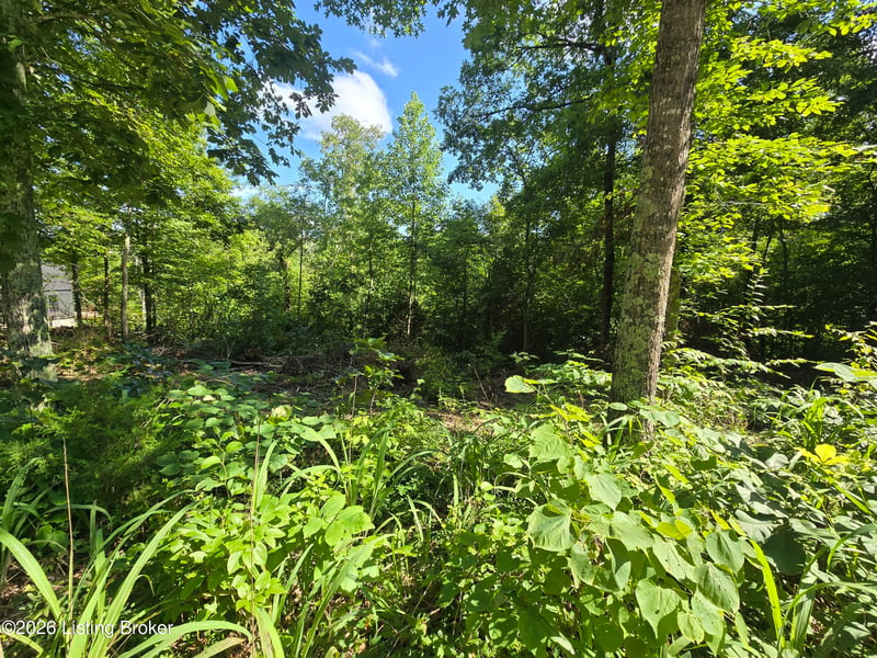 1007 Hunting Ground Rd, Leitchfield, KY 42754
