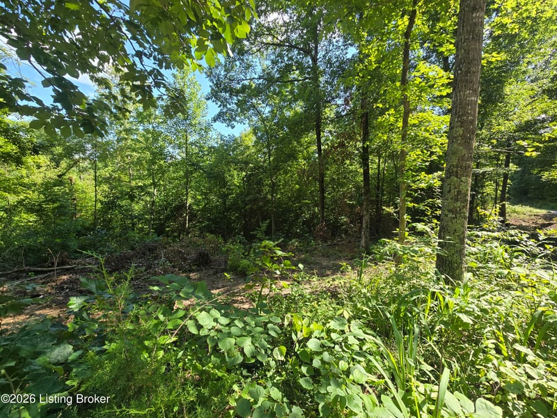 1007 Hunting Ground Rd, Leitchfield, KY 42754
