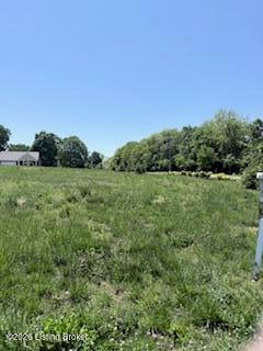10104 Cedar Valley Ct, Louisville, KY 40291