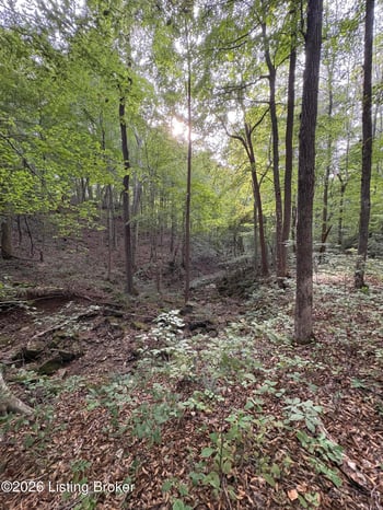 1012 Dowell Hardin Mills Rd, Hardinsburg, KY 40143