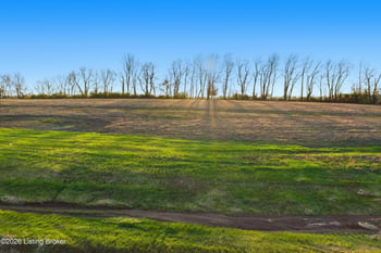 102 N Stallard Dr, Shelbyville, KY 40065