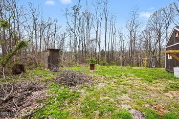 1029 Bucks Run Rd, Ghent, KY 41045