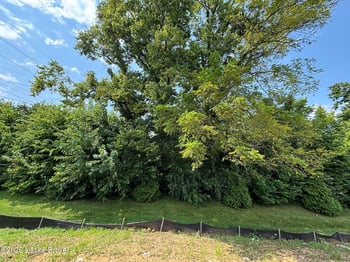 103 Ardmore Crossing Dr, Shelbyville, KY 40065