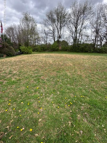 104 Mckenna Way, Bardstown, KY 40004