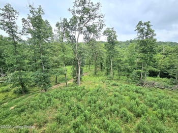 1045 Hunting Ground Rd, Leitchfield, KY 42754