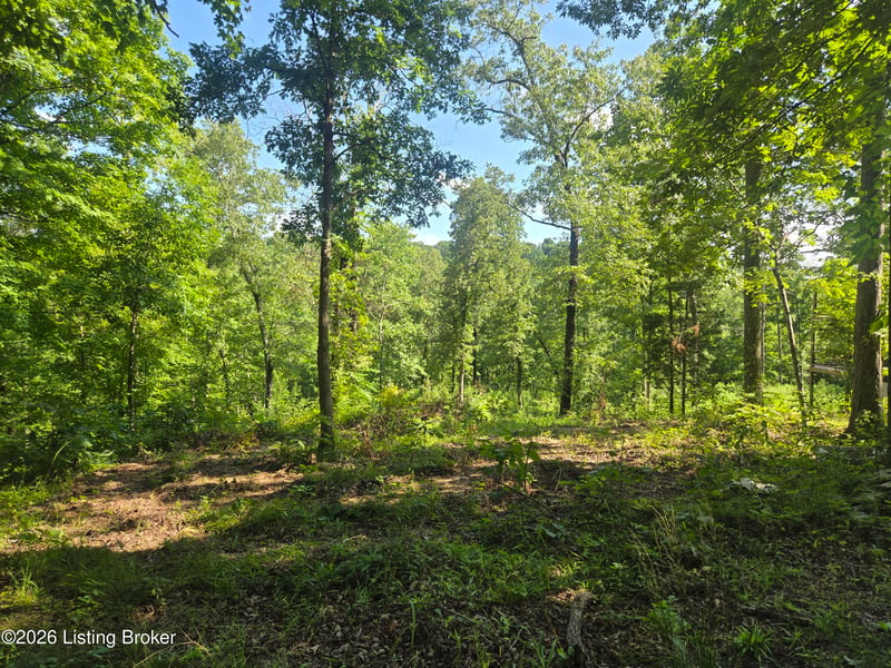 1057 Hunting Ground Rd, Leitchfield, KY 42754