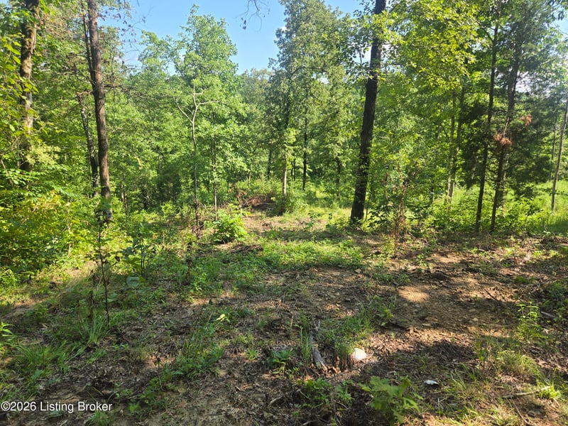 1057 Hunting Ground Rd, Leitchfield, KY 42754