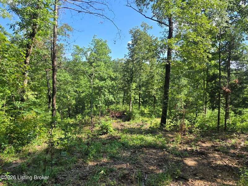 1057 Hunting Ground Rd, Leitchfield, KY 42754