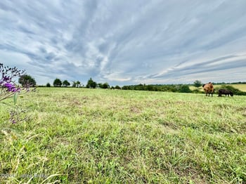 1070-2 Logan Rd, Gravel Switch, KY 40328