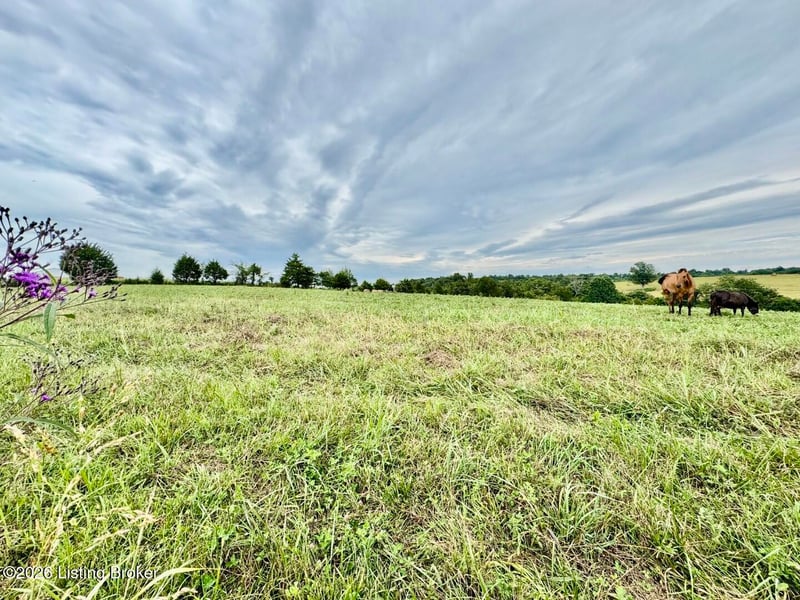 1070-2 Logan Rd, Gravel Switch, KY 40328