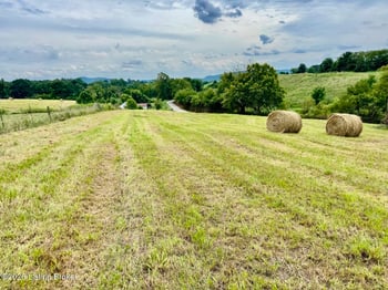 1070-3 Logan Rd, Gravel Switch, KY 40328
