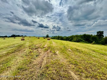 1070-7 Logan Rd, Gravel Switch, KY 40328