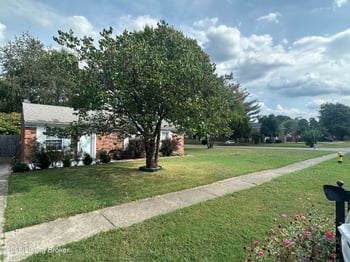 10911 Oreland Mill Rd, Louisville, KY 40229
