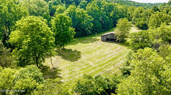 1093 Sulphur Bedford Rd, Bedford, KY 40006