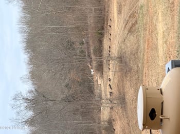 1096 Eastview Rd, Cecilia, KY 42724