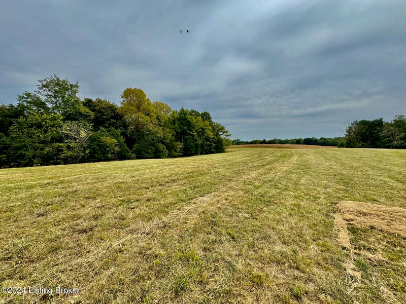 11 Hillsboro Ln, Springfield, KY 40069