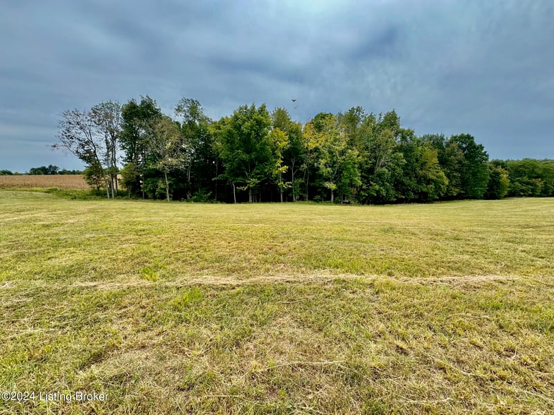 11 Hillsboro Ln, Springfield, KY 40069