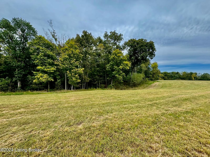 11 Hillsboro Ln, Springfield, KY 40069