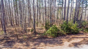 11 Marina Point Ln, Falls Of Rough, KY 40119