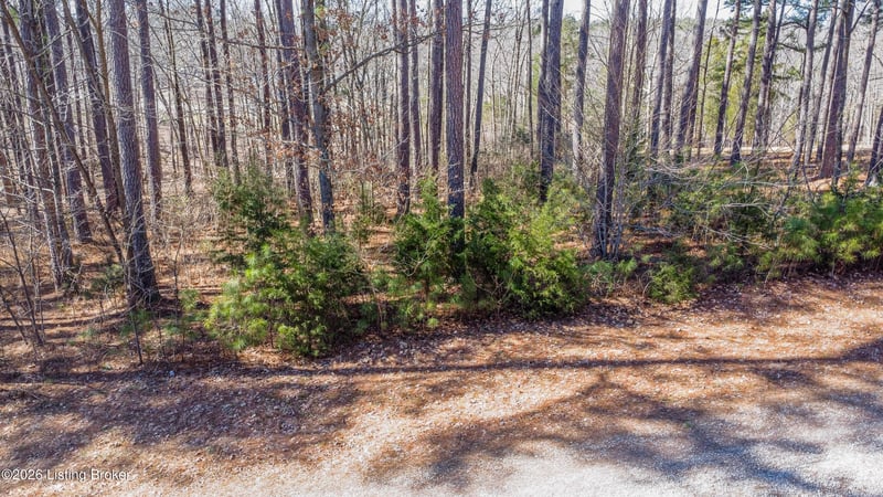 11 Marina Point Ln, Falls Of Rough, KY 40119