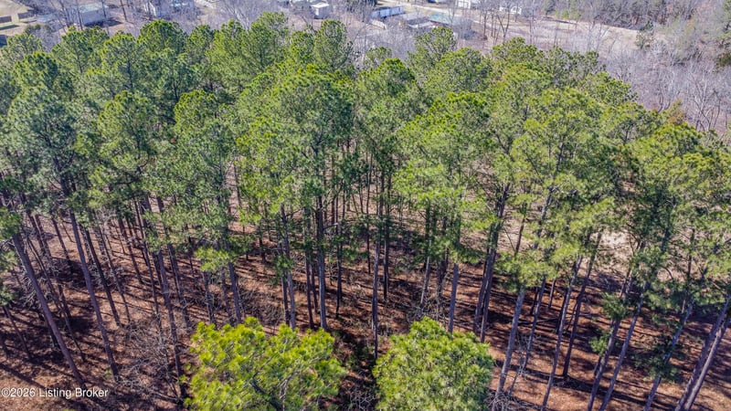 11 Marina Point Ln, Falls Of Rough, KY 40119