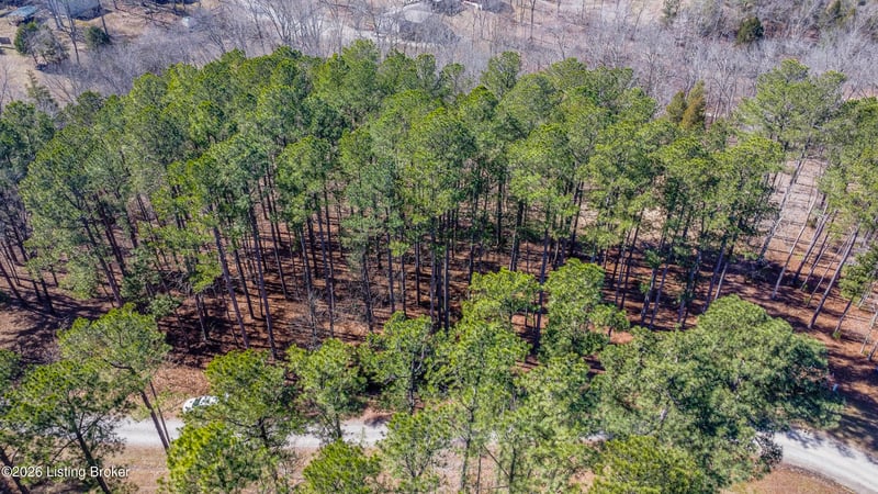 11 Marina Point Ln, Falls Of Rough, KY 40119