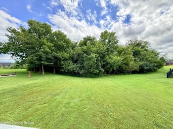 110 Magnolia Dr, Bardstown, KY 40004