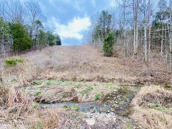 1100 Windy Way Ln, Harrodsburg, KY 40330