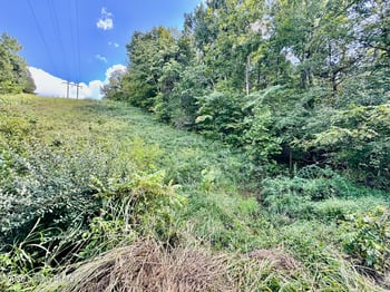 1100 Windy Way Ln, Harrodsburg, KY 40330