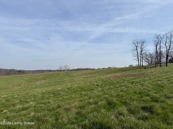 1101 Mike Brown Ln, Taylorsville, KY 40071