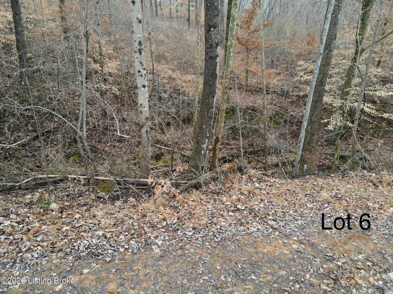 111 Barton Point Rd, Clarkson, KY 42726