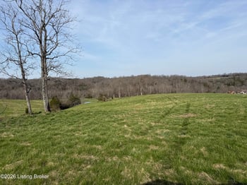 1111 Mike Brown Ln, Taylorsville, KY 40071