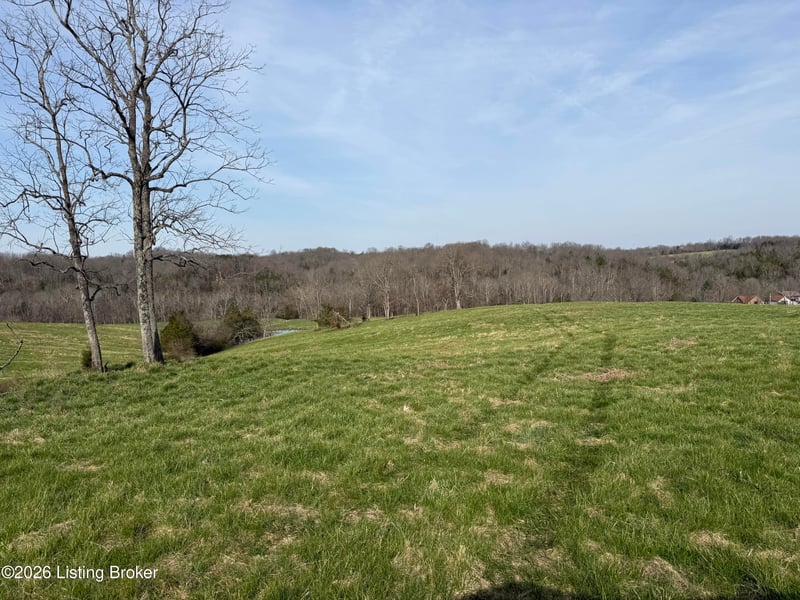 1111 Mike Brown Ln, Taylorsville, KY 40071