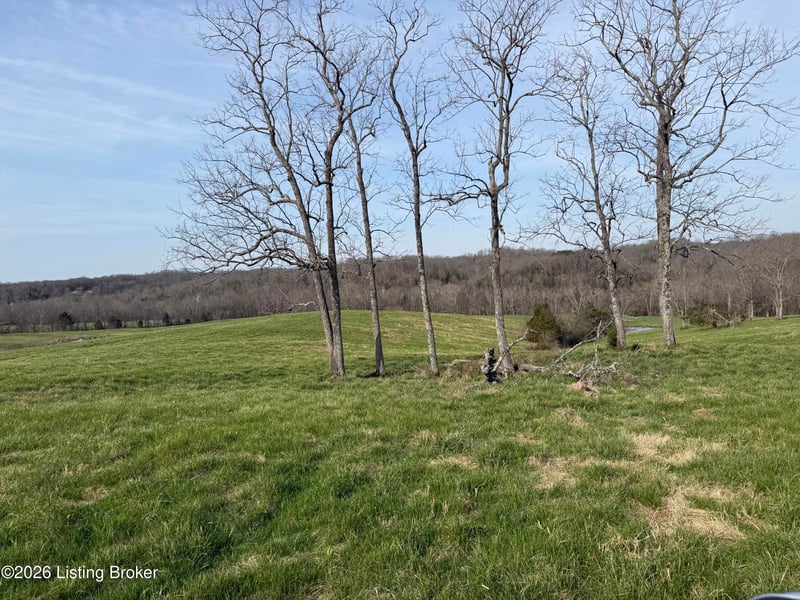 1111 Mike Brown Ln, Taylorsville, KY 40071