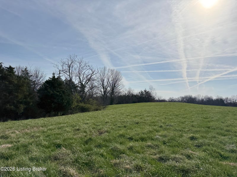 1111 Mike Brown Ln, Taylorsville, KY 40071