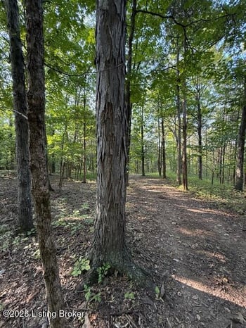 11407 Bardstown Creek Rd, Louisville, KY 40291