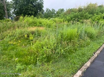1161 Lone Oak Ave, Louisville, KY 40219