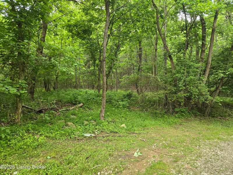 11708 Mitchell Hill Rd, Louisville, KY 40118