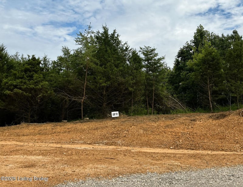 12 Freedom Estate Rd, Clarkson, KY 42726