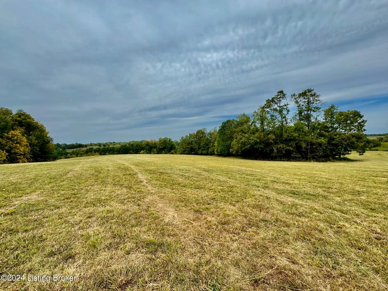 12 Hillsboro Ln, Springfield, KY 40069