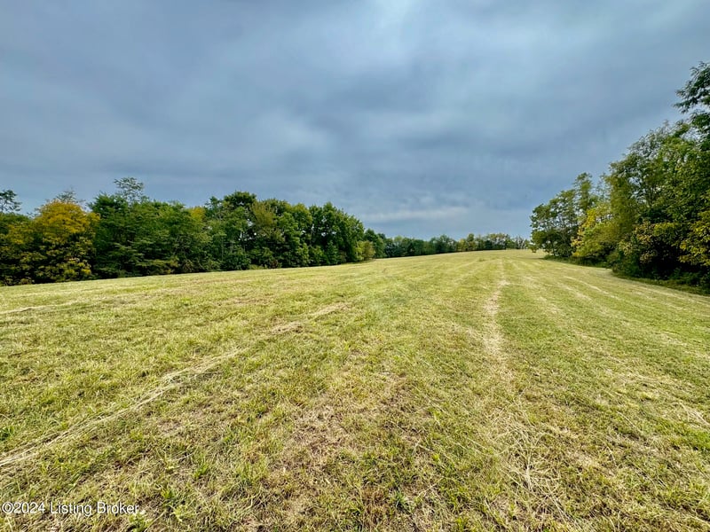 12 Hillsboro Ln, Springfield, KY 40069