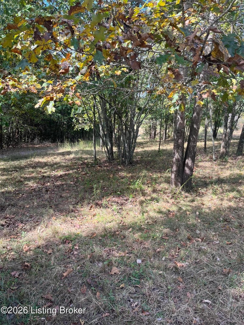 1234 Blain Cannon Dr, Falls Of Rough, KY 40119