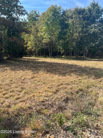 1234 Blain Cannon Dr, Falls Of Rough, KY 40119
