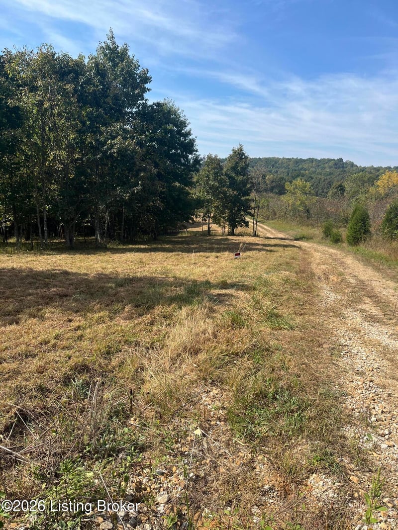 1234 Blain Cannon Dr, Falls Of Rough, KY 40119