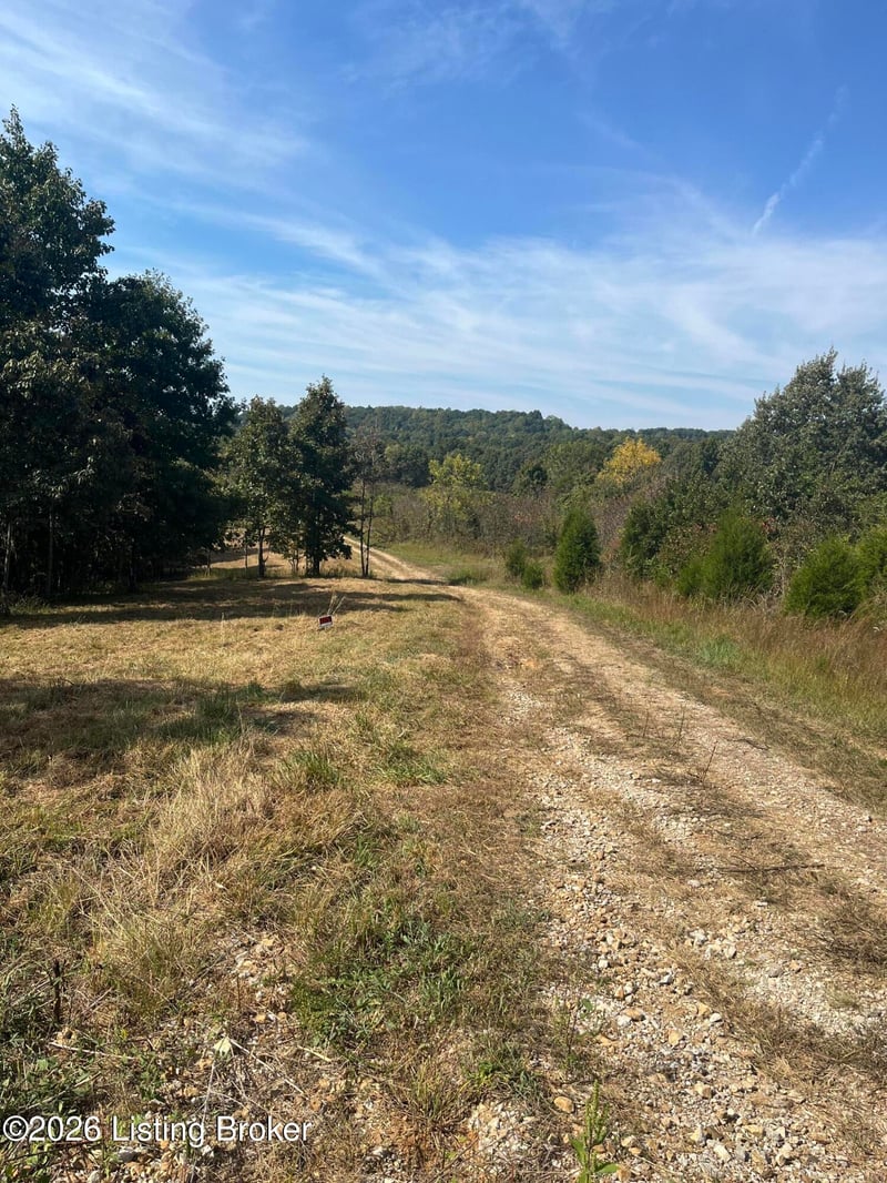 1234 Blain Cannon Dr, Falls Of Rough, KY 40119