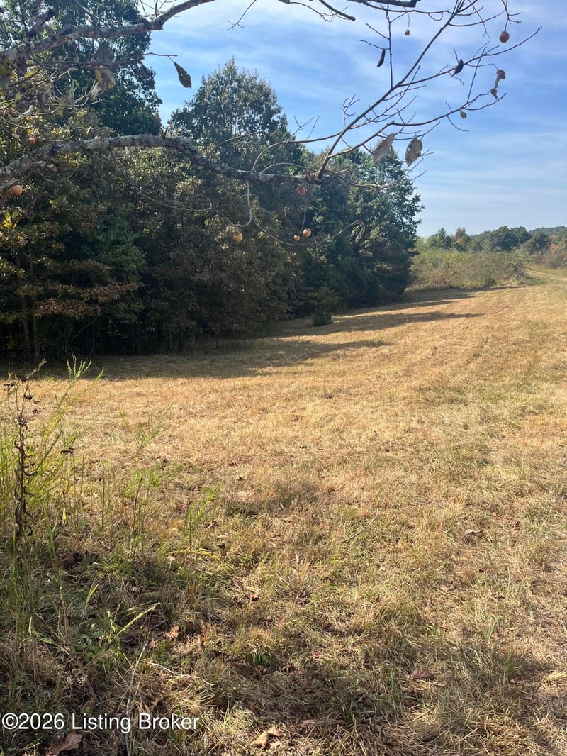 1234 Blain Cannon Dr, Falls Of Rough, KY 40119