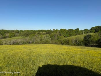 1255 Love Ridge Rd Lot 4, Chaplin, KY 40012
